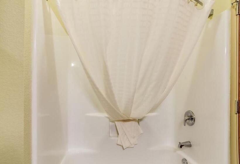 장애인을 위한 킹사이즈 침대 스탠다드 룸, Cobblestone Hotel & Suites   Mccook