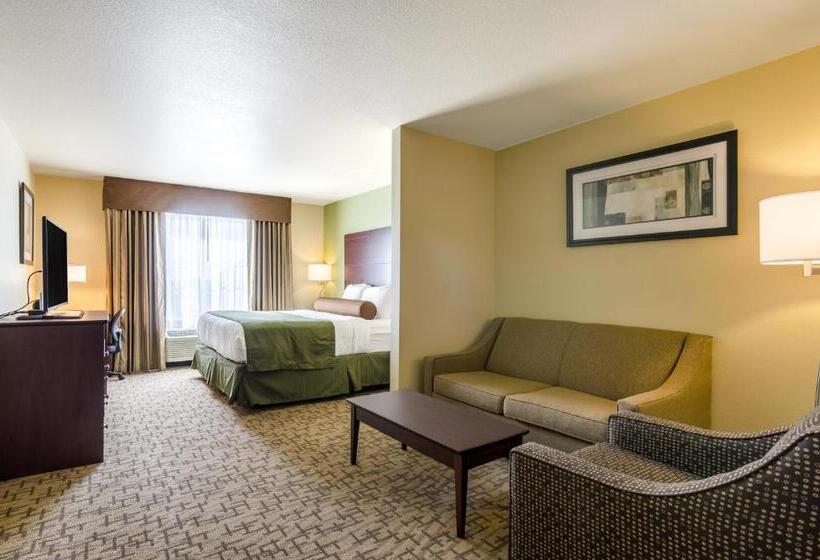 스탠다드 스튜디오 킹침대, Cobblestone Hotel & Suites   Mccook