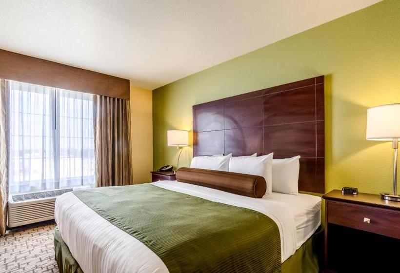 스탠다드 스튜디오 킹침대, Cobblestone Hotel & Suites   Mccook