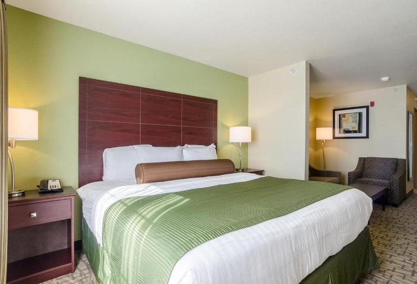 디럭스 룸, Cobblestone Hotel & Suites   Mccook