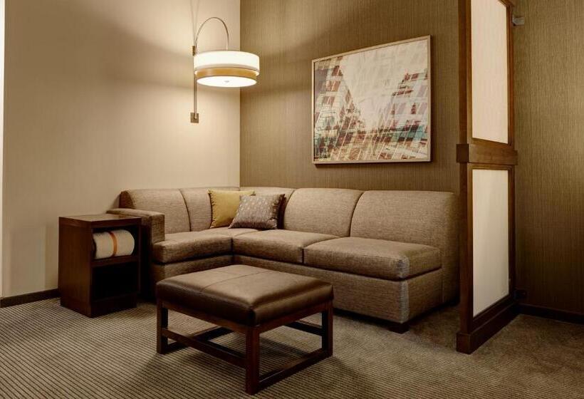 장애인을 위한 스탠다드 룸, Hyatt Place St. Paul