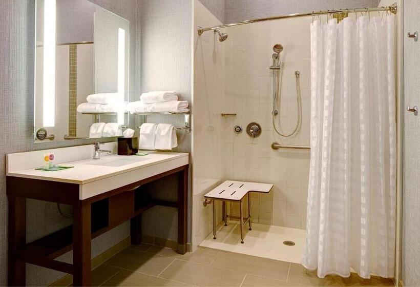 장애인을 위한 킹사이즈 침대 스탠다드 룸, Hyatt Place St. Paul