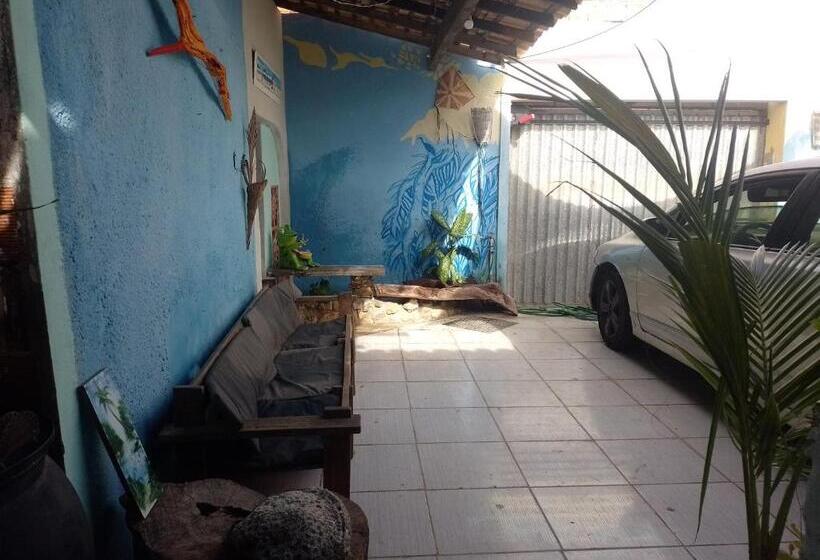 Одноместный Номер Basic, Praieiro Hostel Albergue