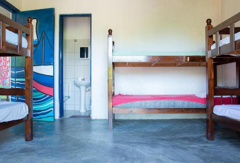 تختخواب در اتاق مشترک, Sambaqui Hostel