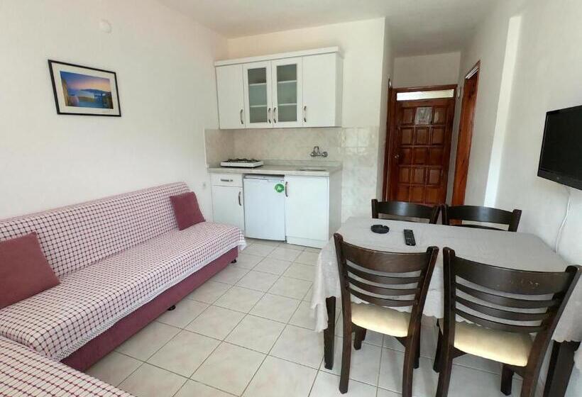 آپارتمان 1 خوابه با چشم‌انداز باغ, Sarıhan Apart Otel