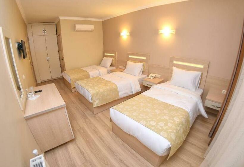 اتاق استاندارد سه نفره, Sonerbey Otel