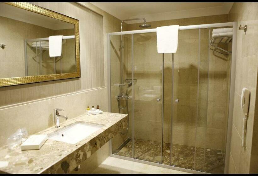 اتاق استاندارد, Sivas Revag Otel