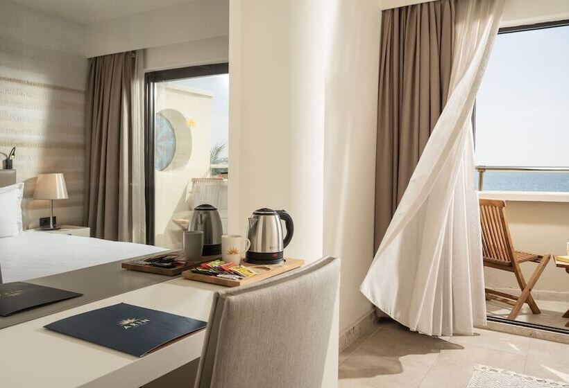 带海景的标准房, Arin Resort Bodrum
