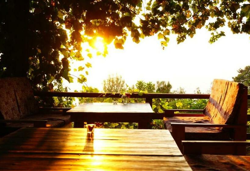 Номер Deluxe Вид на Море, Honey Hill Faralya Forest Cabins By The Sea