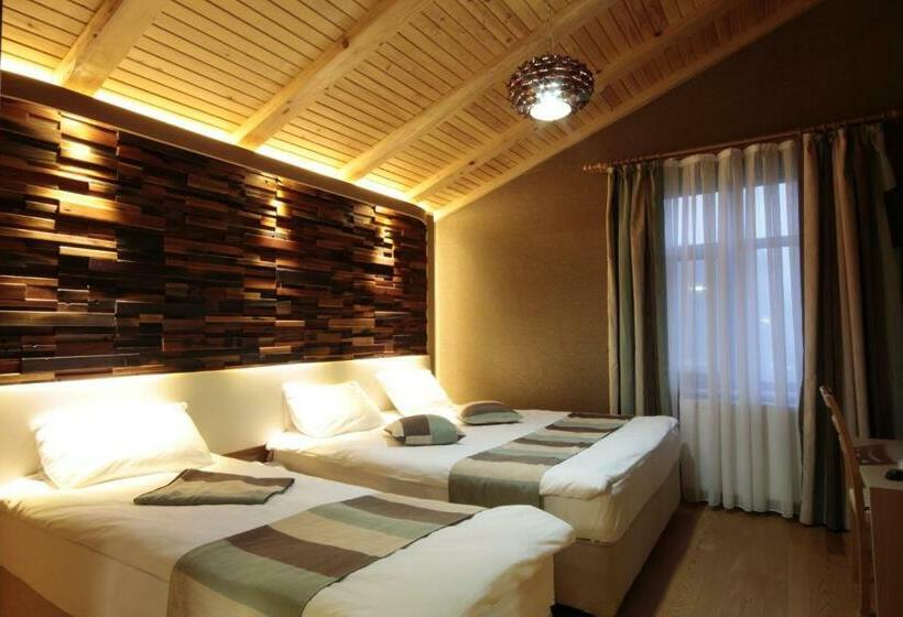 اتاق استاندارد سه نفره, Ayderoom