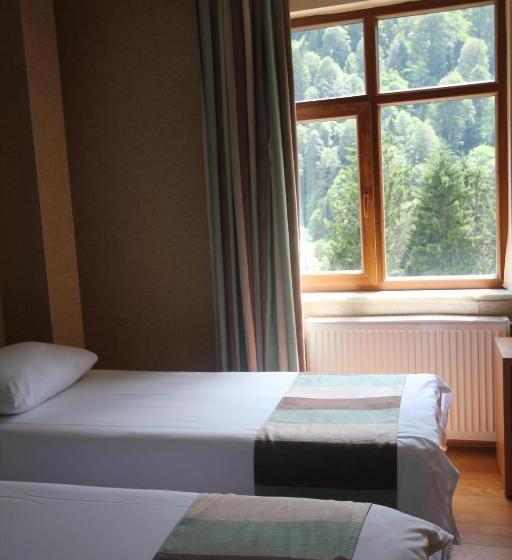 Deluxe Room Mountain View, Ayderoom