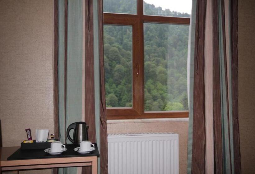 Deluxe Room Mountain View, Ayderoom
