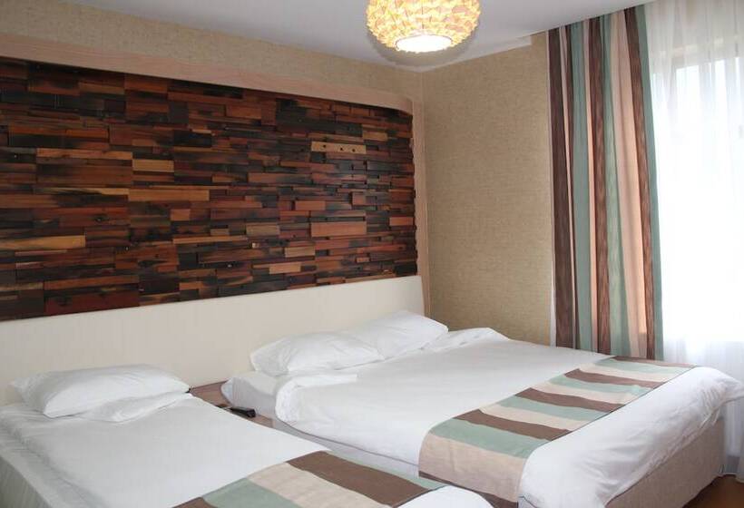 Deluxe Room Mountain View, Ayderoom