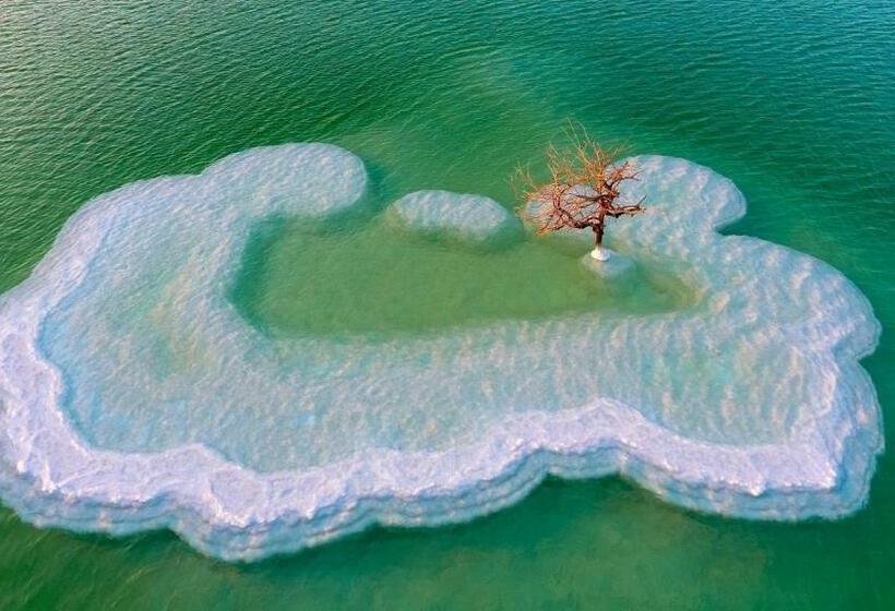 침실 1개 아파트, Zimmer Dora