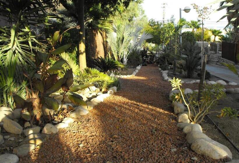 침실 1개 아파트, Zimmer Dora