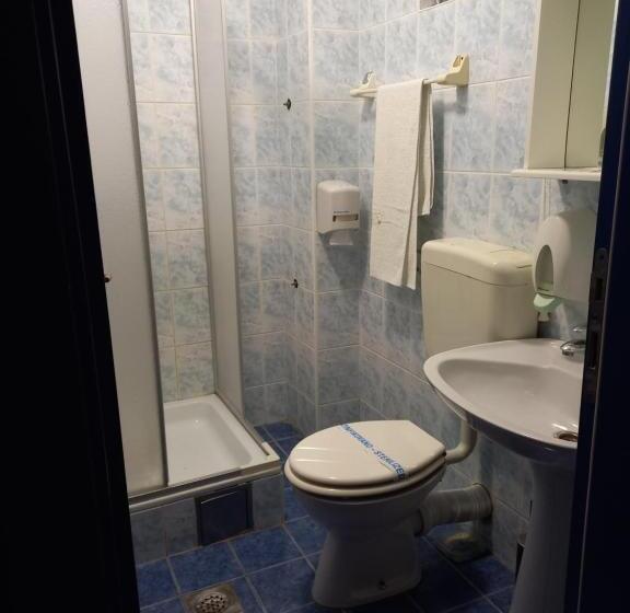 غرفة قياسية فردية, Garni Hotel Lupus