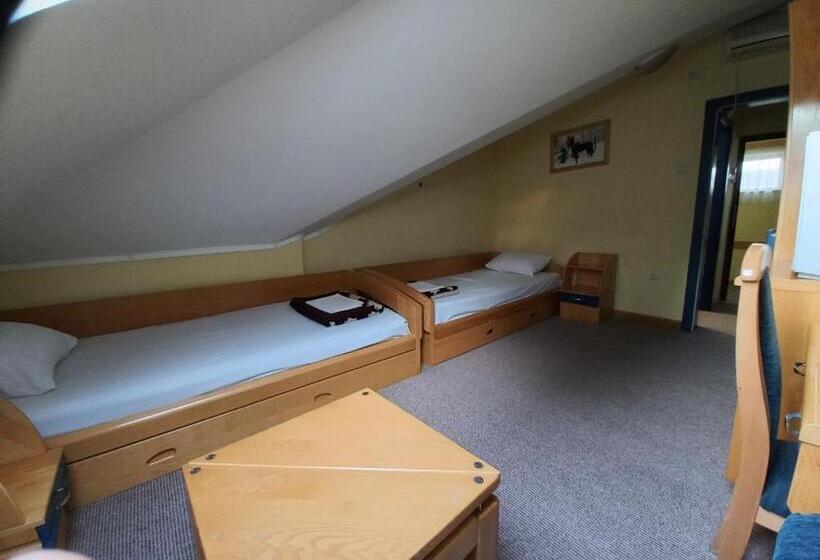 غرفة أساسية, Garni Hotel Lupus