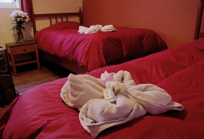 스탠다드 룸, Posada Catama Inn