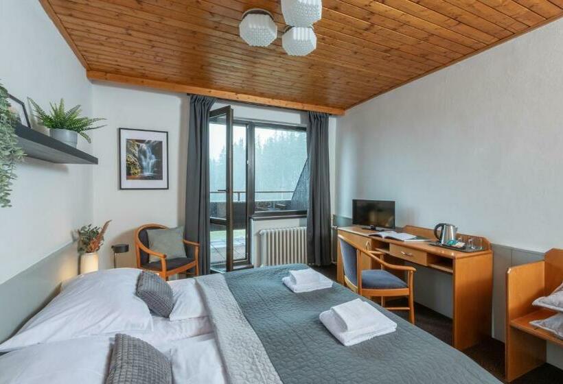 Номер Стандарт с Балконом, Wellness Hotel šedý Vlk