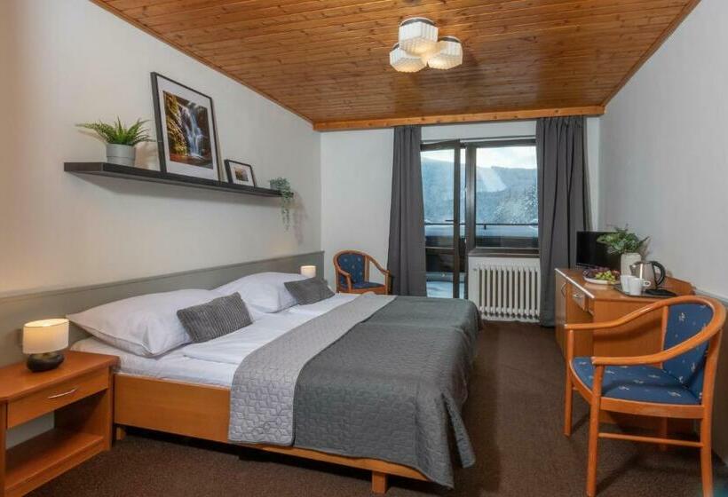 Номер Стандарт с Балконом, Wellness Hotel šedý Vlk