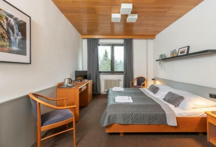 Номер Стандарт, Wellness Hotel šedý Vlk
