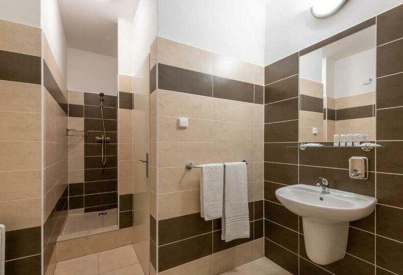 Номер Стандарт Трехместный, Wellness Hotel šedý Vlk