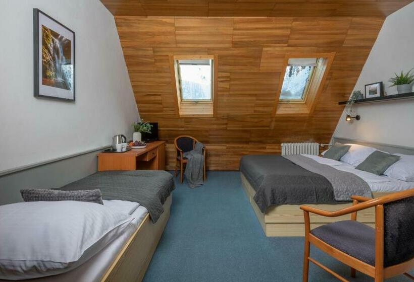Cameră Triplă Standard, Wellness Hotel šedý Vlk