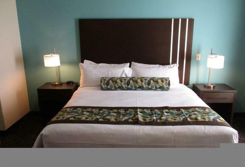 Стандартный Номер Кровать Кинг, Best Western Plus/executive Residency Elk City