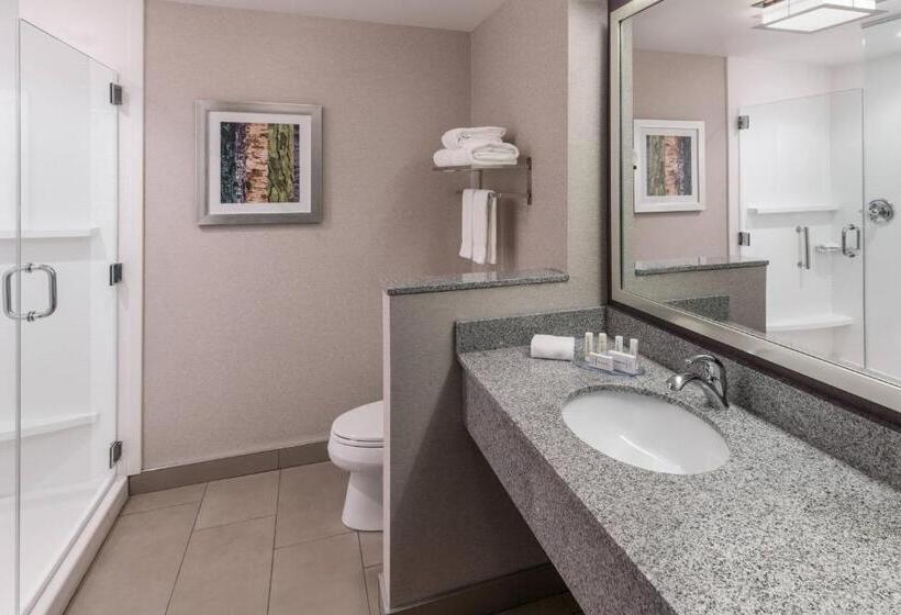 Suite King Size Bed, Fairfield Inn & Suites By Marriott Chicago Schaumburg