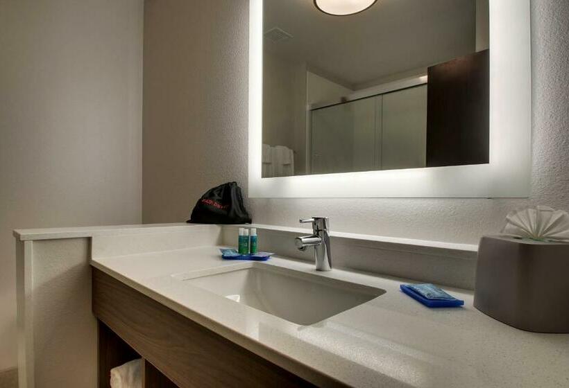 اتاق استاندارد برای معلولان, Holiday Inn Express & Suites   Mount Vernon, An Ihg