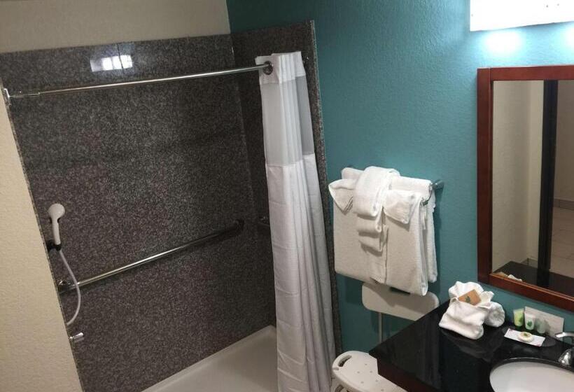 Quarto Estandar Cama King para Deficientes Físicos, Best Western Plus/executive Residency Elk City