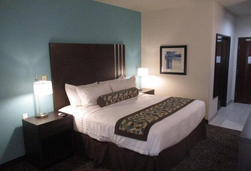 Номер Стандарт Кровать Кинг Адаптированный для Инвалидов, Best Western Plus/executive Residency Elk City