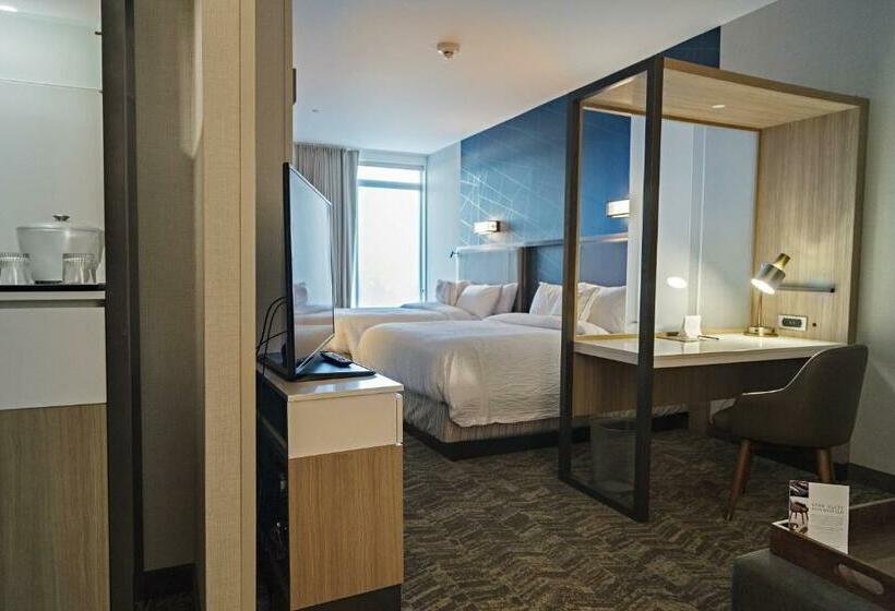 스탠다드 스튜디오, Springhill Suites By Marriott Somerset Franklin Township