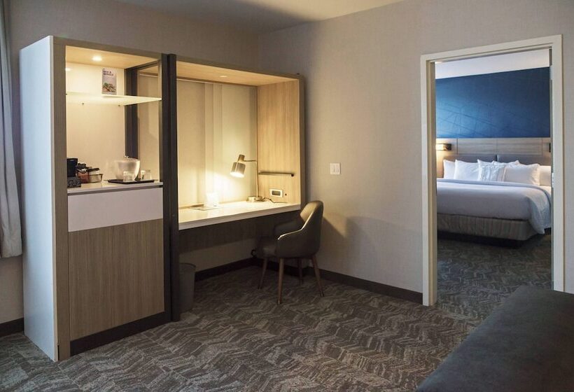 스탠다드 스튜디오, Springhill Suites By Marriott Somerset Franklin Township