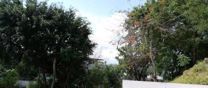 Дом 3 Спальни, Casa Montemar Hotel San Vicente