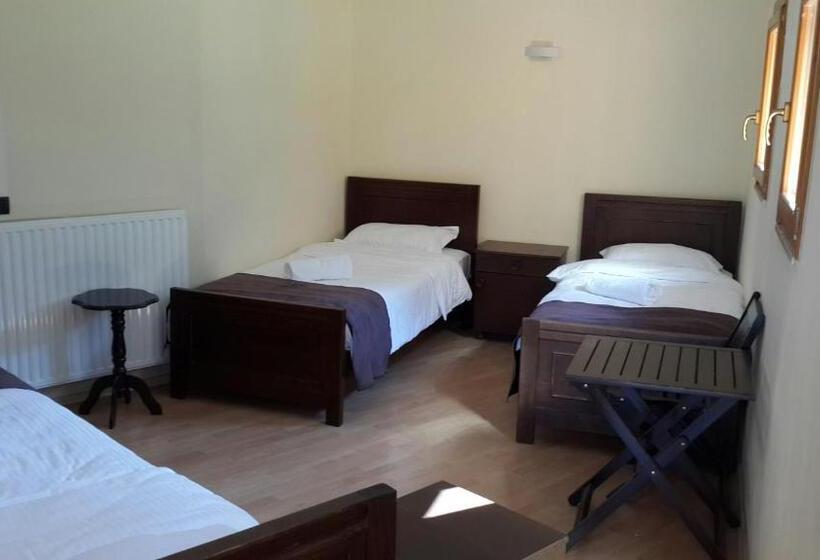 Quarto Estandar, Villa Dini