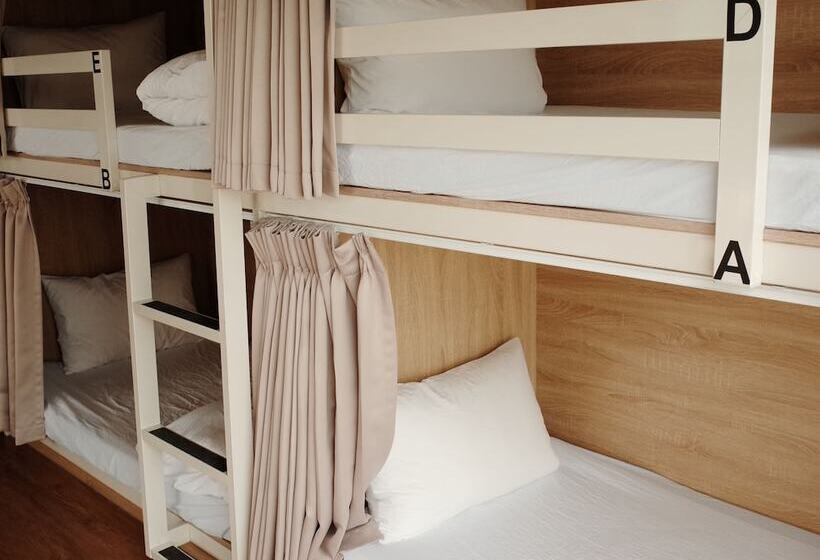 تختخواب در اتاق مشترک, Paper Plane Hostel
