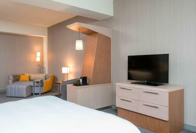 Стандартный Номер Кровать Кинг, Courtyard By Marriott Mt. Pleasant At Central Michigan University