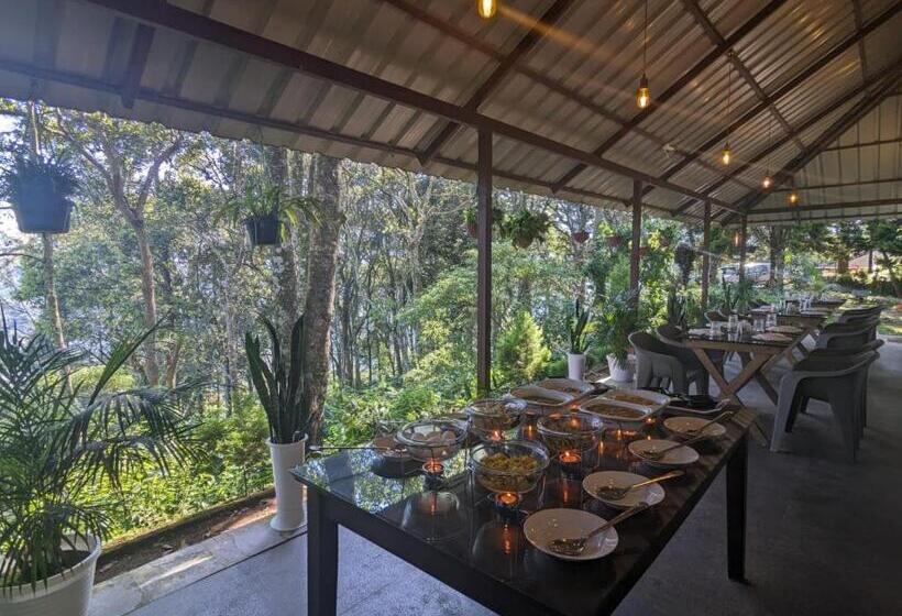 Номер Стандарт, Avadale Munnar