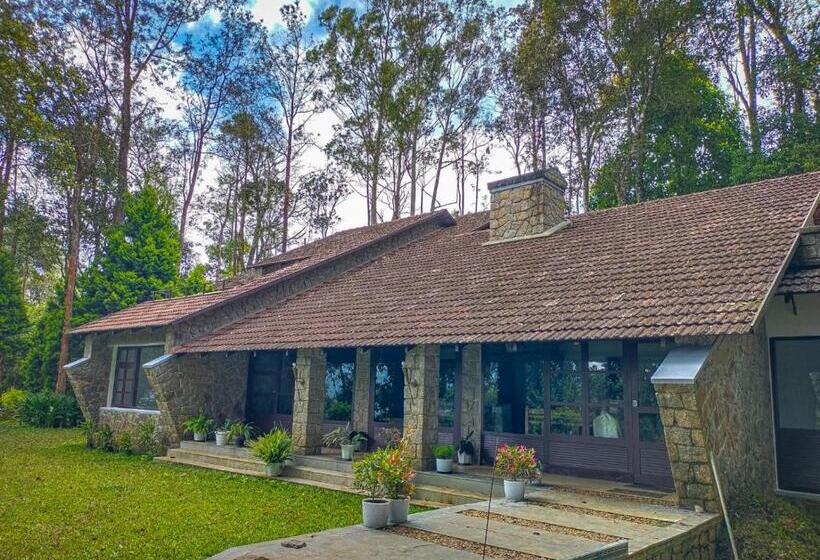 Номер Стандарт, Avadale Munnar