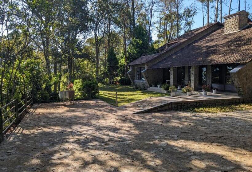 Номер Deluxe, Avadale Munnar