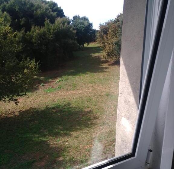 Номер Стандарт, Douro Ecostudio