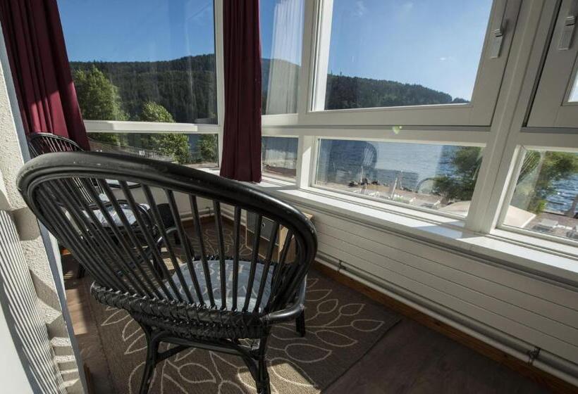 Апартаменты Комфорт 1 Спальня, Appart Hôtel Lido Au Bord De L Eau