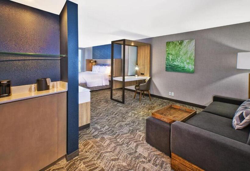 Люкс Кровать Кинг, Springhill Suites By Marriott St. Joseph Benton Harbor