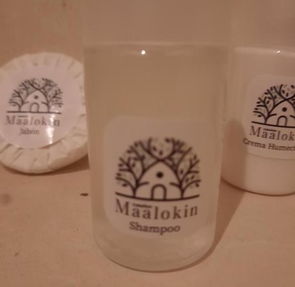 デラックスルーム, Cabañas Maalokin