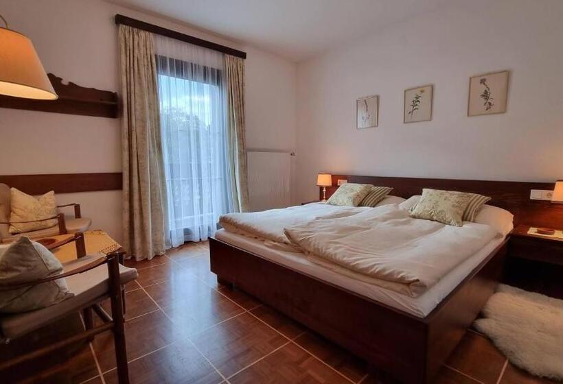 Номер Стандарт, Pension Hattinger
