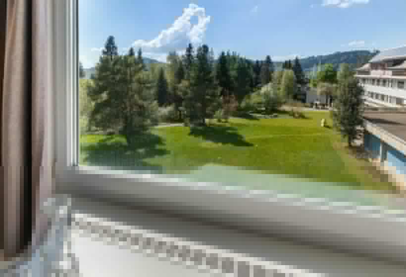 Номер Стандарт, Allegro Einsiedeln