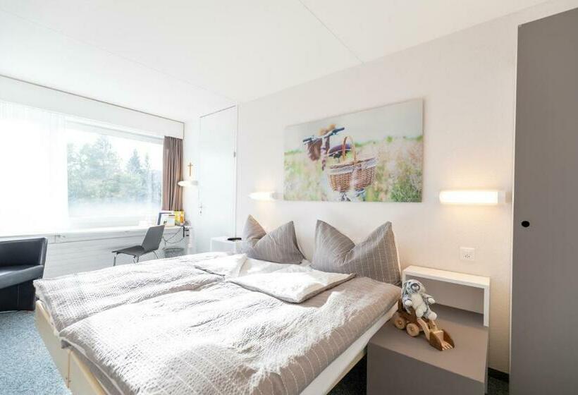 Quarto Triplo Estandar, Allegro Einsiedeln