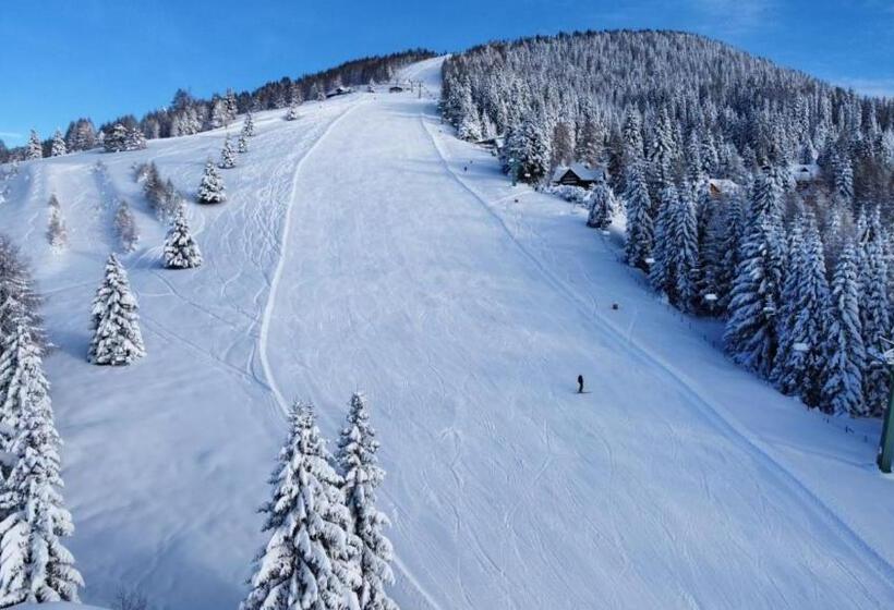 Номер Стандарт, Alpenrose Gerlitzen