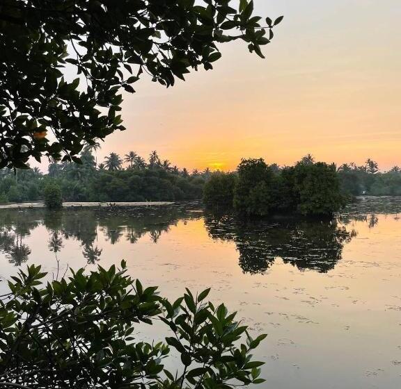 Номер Стандарт, Waters Edge